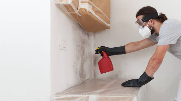 Professional Bathroom Mold Removal technician working in Machipongo, VA