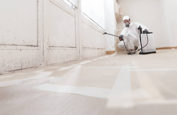 24/7 Emergency Bathroom Mold Removal experts in Machipongo, VA